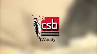 CSB Zero Waste Solutions WOODY