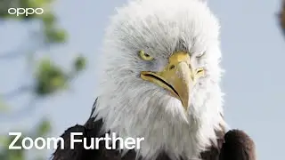OPPO Find X8 Series | Eagle-Eyed Zoom