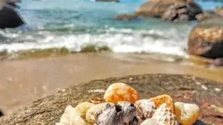 Мар Сьютс Тониньяс | Убатуба, Бразилия | Обзор отеля 🌟