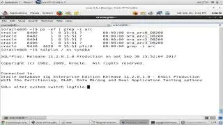 Enable/Disable Archive Log Mode in Oracle 11g Database