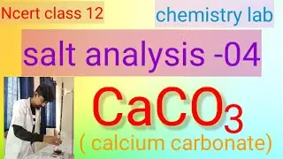 NCERT Class 12|chemistry practical |salt analysis-04|CaCO3|Calcium Carbonate