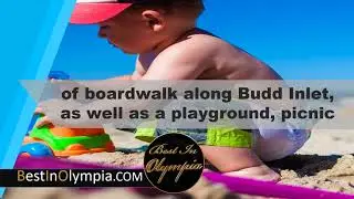 Percival Landing Park in Olympia  | Best In Olympia | Olympia WA