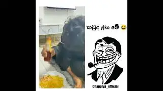 kawda bn ithin