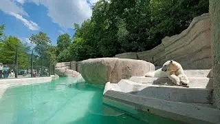 #munich Tierpark Hellabrunn,M&uuml;nchen Part 1