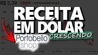 PTBL3: RECEITA EM D&Oacute;LAR, DIVIDENDOS E MARKET SHARE. VALE A PENA INVESTIR EM PORTOBELLO?