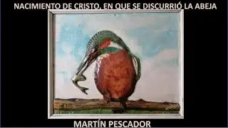 Poetas/Poemas:A VECES. Autor: Mary Oliver PABLO TORREGROSA JETP Acuarela: PARQUE  Aporte:GABRIELNAGY