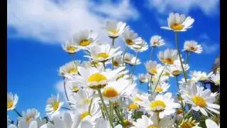 UN ARCO-IRIS EN EL ALMA (Guillermo Guido).wmv