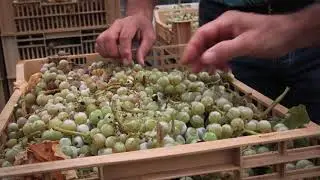 La Cavalchina di Custoza