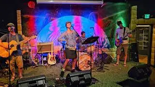 Wild Horses with Leah, Paul,  David and Gavin.   Dead Jam at Avos. July 12th,  2024.