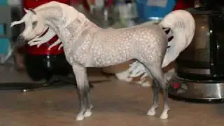 How to pastel a cm dapple gray model horse
