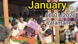 VRR Mandi tomato action today in palamaner vegetable market live #palamaner #madanapalli #tomato
