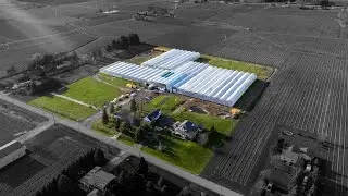 Live and work in Niagara-on-the-Lake | Commercial Greenhouse & Rural Residence For Sale | Ben Ellens