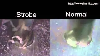 Dino-Lite Premier AM3713TB Strobe mode demo