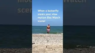 Butterfly steals the scene! #funnyvideo #funny #baywatch #lifeguard #butterfly #davidhasselhoff