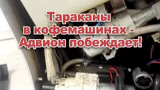Гель Advion Cockroach vs Тараканы в кофемашине