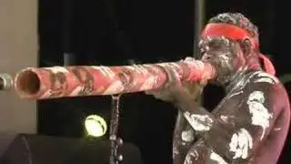Ambrose Cameron F# Tour Mago - London Didgeridoo Shop UK