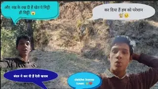 बंदरु ने कर दी हैं पूरी खेती खराब 😱 और कुछ भी नहीं छोड़ा खेत मै!!🥺😔