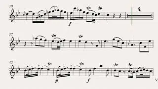 Quantz &ndash; Flute Concerto in G major | 2nd Movement | Orchestra accompaniment