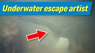 Avoid Getting Your Anchor Stuck With the Seachoice Escape Plow Anchor