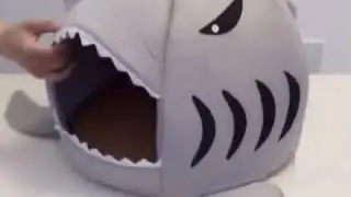 Shark Pet Bed with Mat VDO