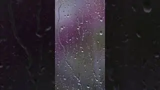 Close up Shot of Rain Droplets on Window