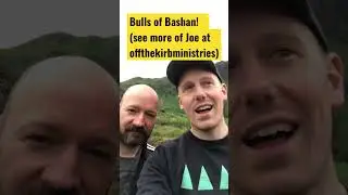 Bulls of Bashan! @offthekirb
