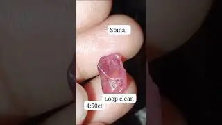 Pink spinal