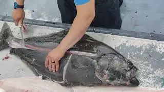 How to fillet a halibut