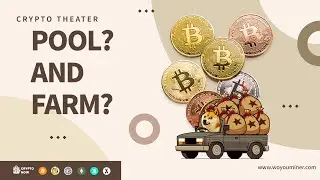 Mining Pool vs Mining Farm: What&rsquo;s the Real Difference Beginners Must Know!