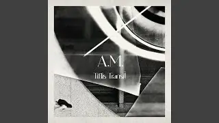 A.M.
