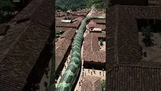 Giant #snake  slithering through the middle of a peaceful #village