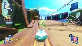 Team Sonic