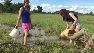 Two Beautiful girls catch fish- How To catch fish by hand