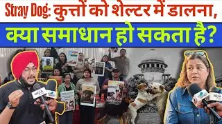 Stray Dog: Is putting dogs in shelters the solution? Dog protest l Delhi News
