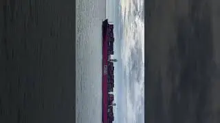 Pink beauty Entering Singapore #merchantnavy #merchantmarine #lifeatsea