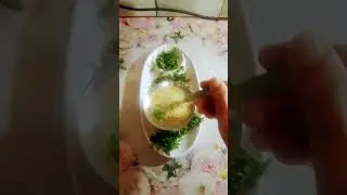 lassi mein tadka luxmi shorts
