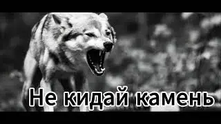 Не кидай камень 