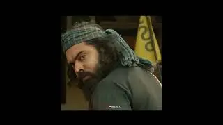 Padavettu mass whatsapp status | Nivin pauly | Aditi Balan | Shine Tom Chacko | #shorts #padavettu