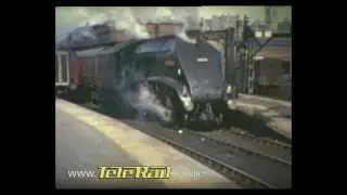 THE DEFINITIVE GUIDE TO Steam Train Archive - Telerail