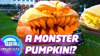 Giant SCARY Pumpkins and Skeletons in a car?! 🎃 | Strange News! | News For Kids