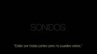SONIDOS: EL TIMBRE (Parte 1)