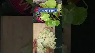 फूल गोभी का हलवा | Cauliflower halwa recipe | gobhi dessert recipe | gobhi halwa recipe #shorts