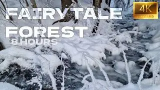 A Norwegian Creek &ndash; Fairytale Forest &ndash; 8 hrs &ndash; Medium Water Sounds for Sleeping, Focus & Relaxation