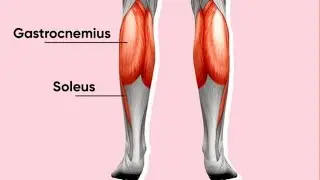 Focus on your Calves muscle #Shorts