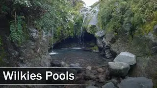 Wilkies Pools Track, Taranaki, New Zealand | 4K