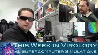Viral Supercomputer Simulations