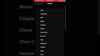 iPhone 13 Pro Max Notification Tones