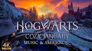 ✨Cozy January Morning at Hogwarts with Soothing Study Music