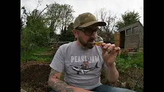 Jameson Remastered : 15 years old Single Pot Still / Allotment Dram (Episode #118)