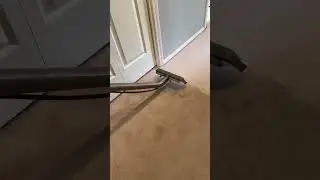 Effective Carpet Cleaning in Vancouver WA